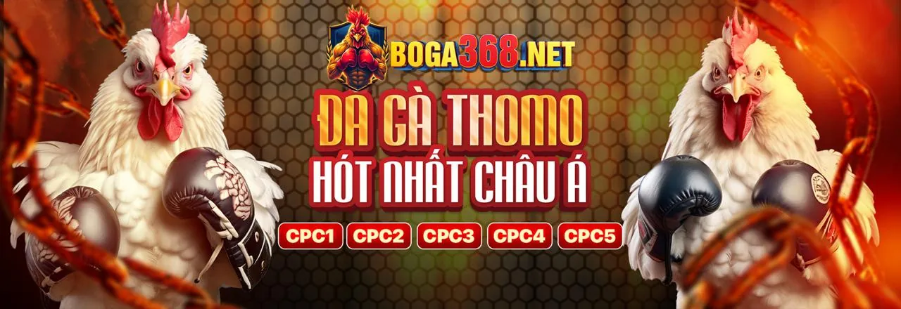 Đá gà trực tuyến đỉnh cao tại wvip